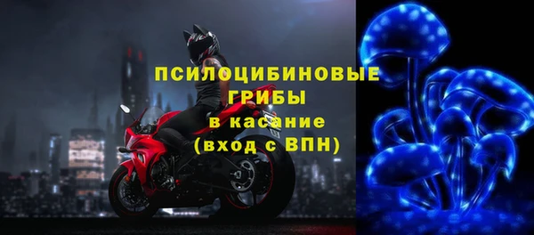 a pvp Богданович