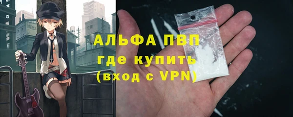 гашик Богородск