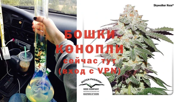 гашик Богородск