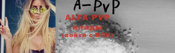 Альфа ПВП Верея