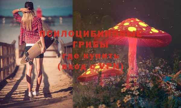 Альфа ПВП Верея