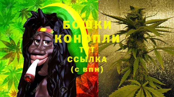 гашик Богородск