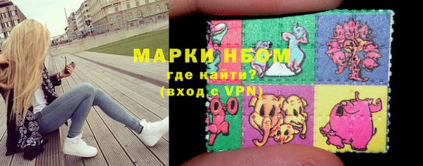Альфа ПВП Верея